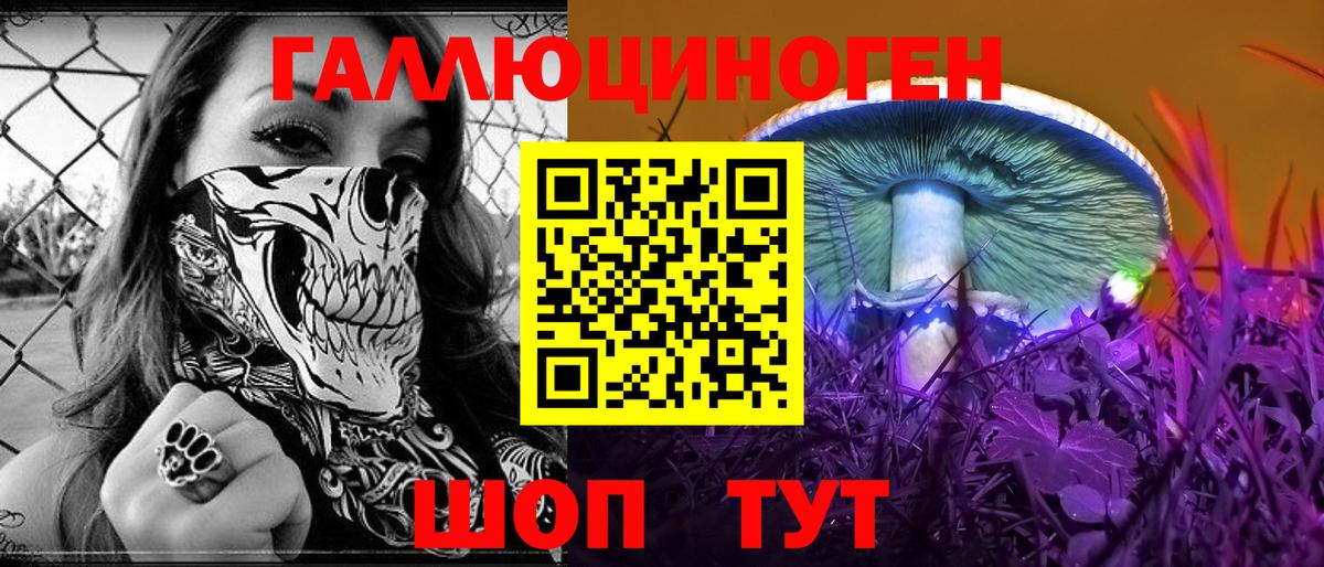 Малгобек  Галлюциногенные грибы прущие грибы  Вход с VPN  Псилоцибиновые грибы GOLDEN TEACHER 
